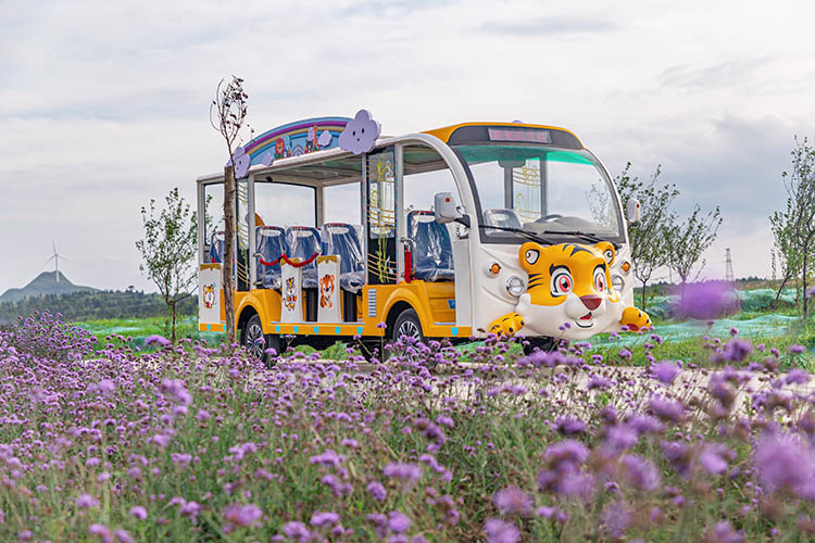 電動觀光車 電動觀光車