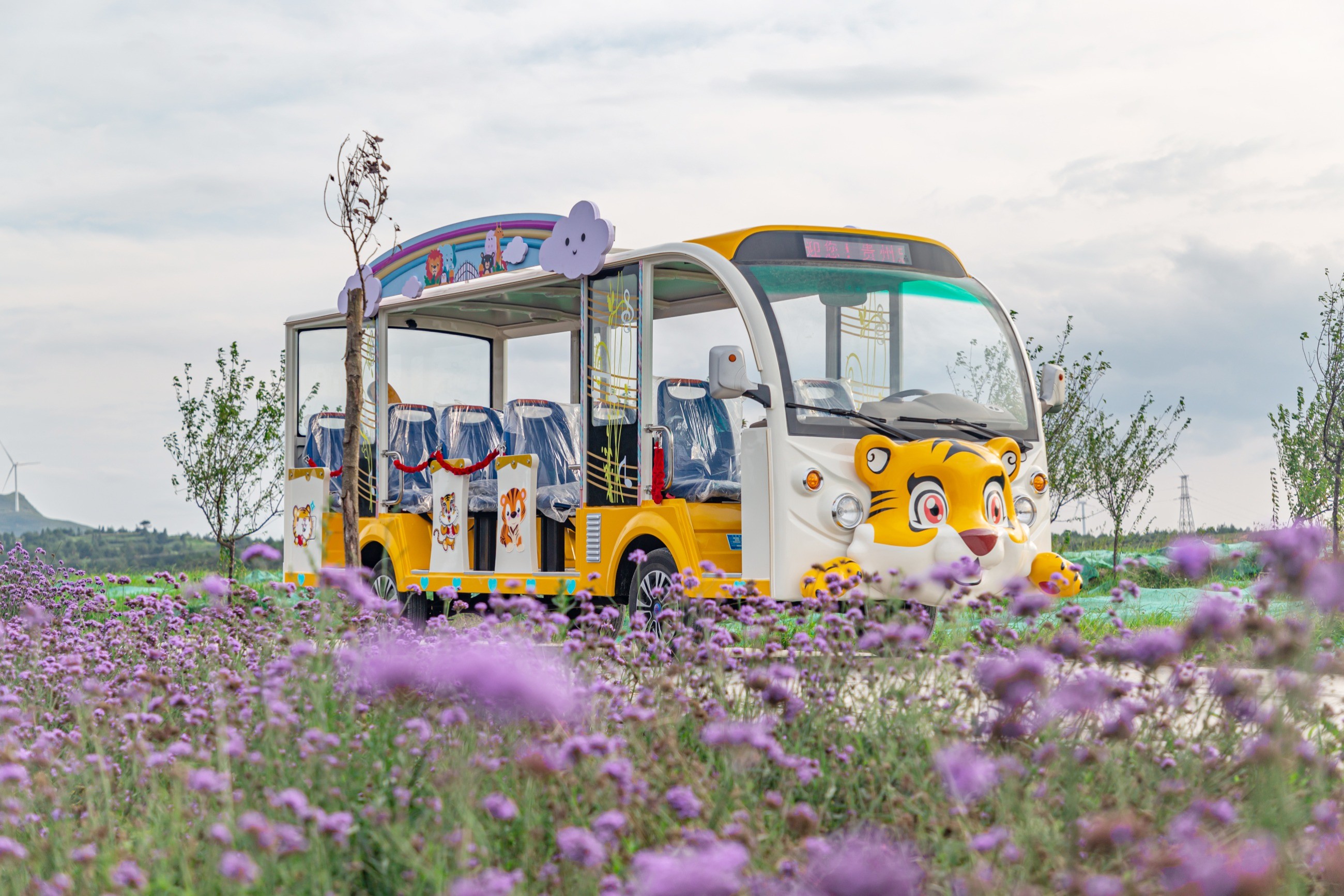 電動(dòng)觀光車