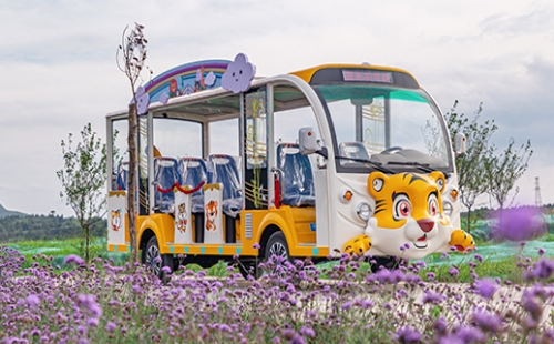 旅游景區為什么要用燃油觀光車？